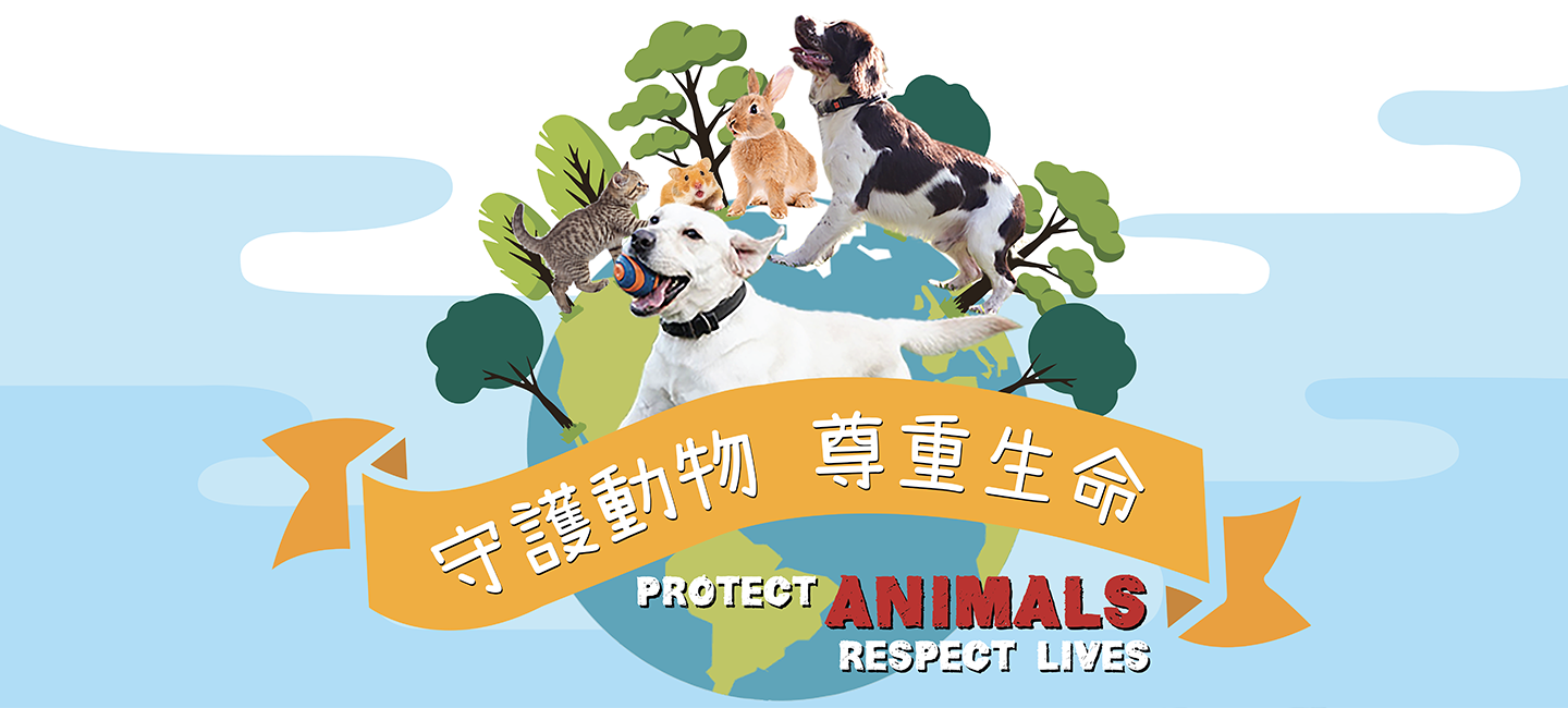 守护动物 尊重生命