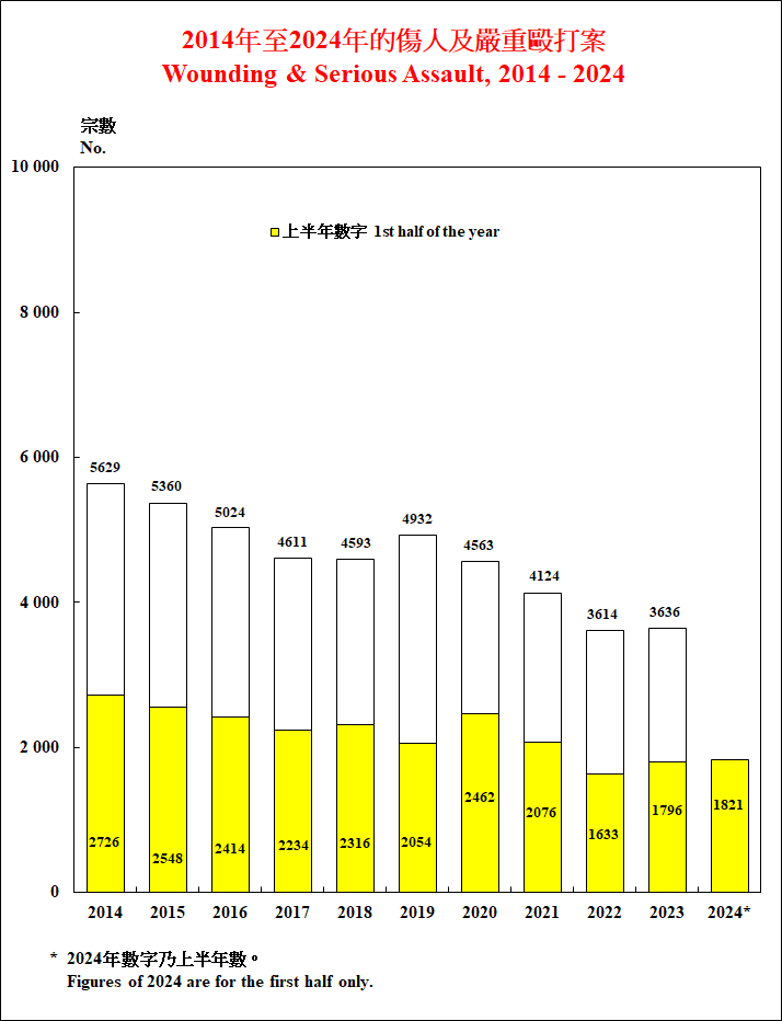 傷人及嚴重毆打案