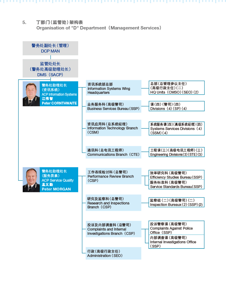 丁部门（监管处）架构表