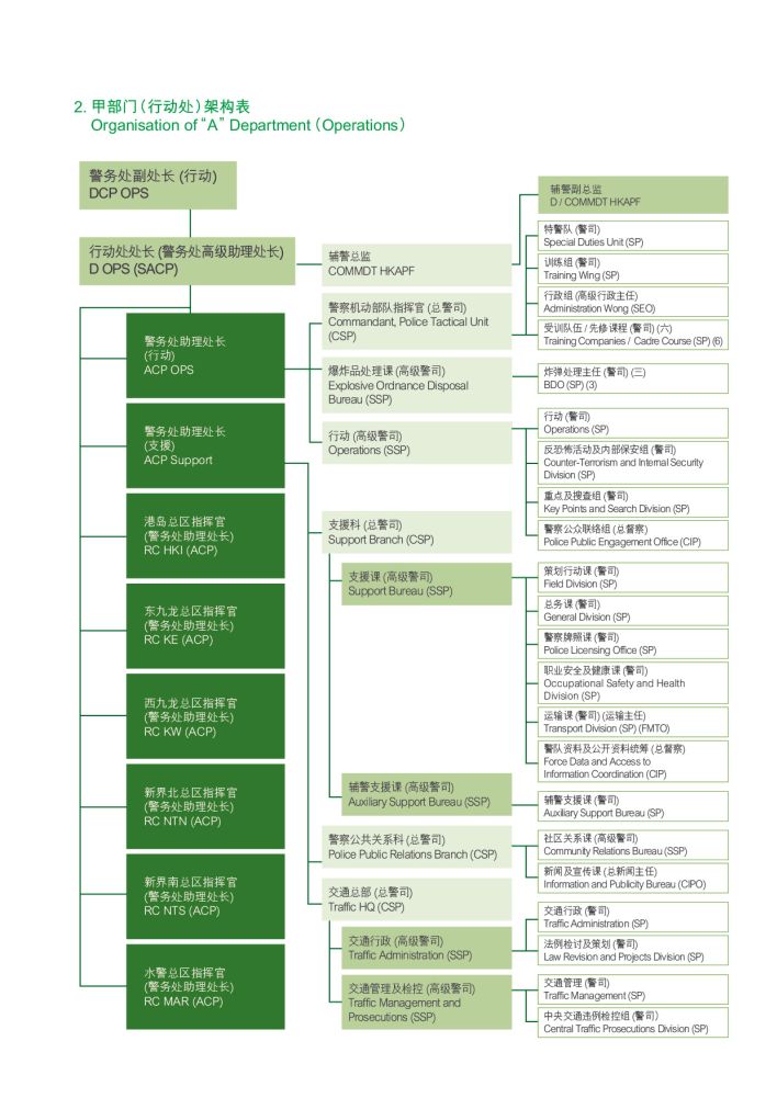 甲部门（行动处）架构表