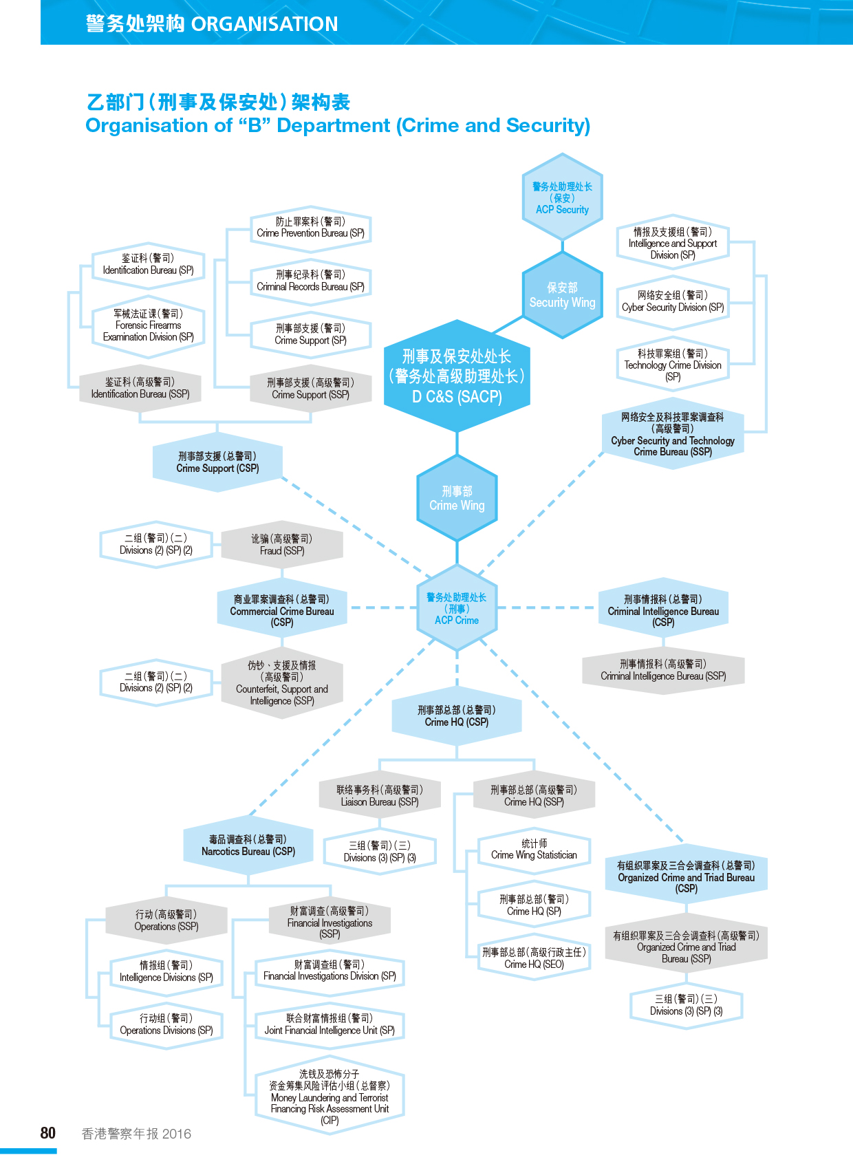 乙部门（刑事及保安处）架构表 