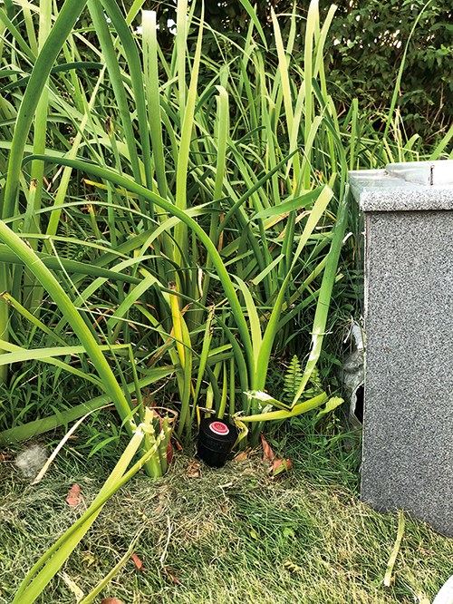 Yau Ma Tei Police Station has installed a rainwater recycling system.