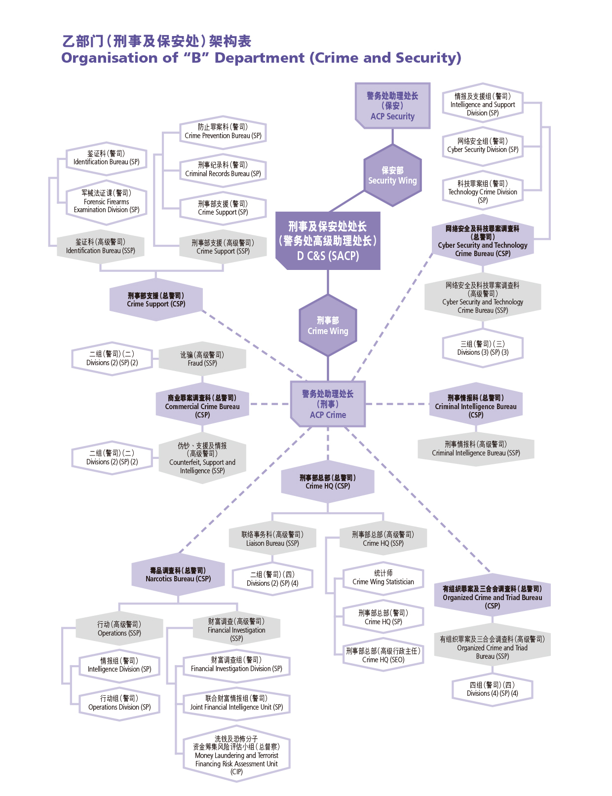 乙部门（刑事及保安处）架构表 