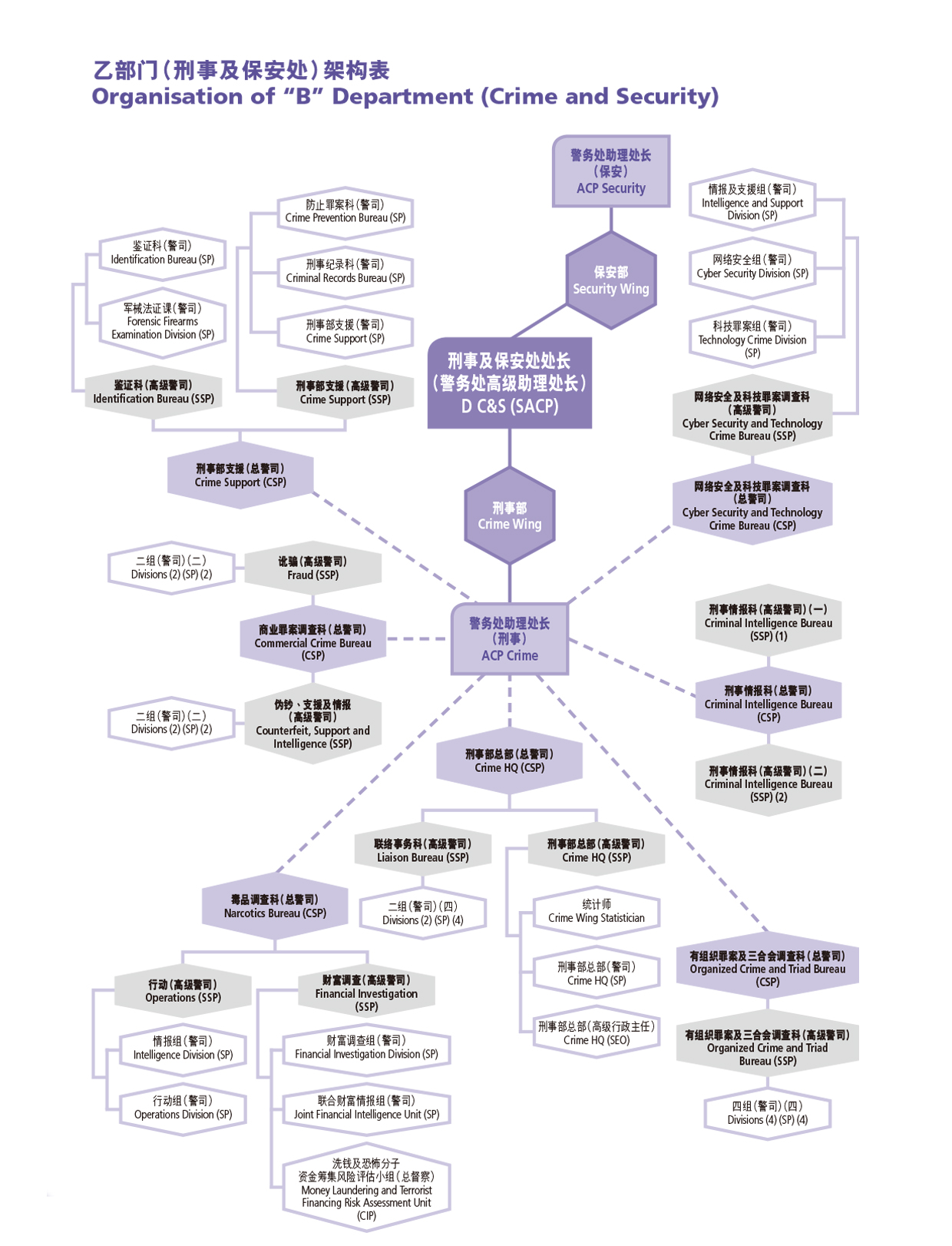 乙部门（刑事及保安处）架构表 