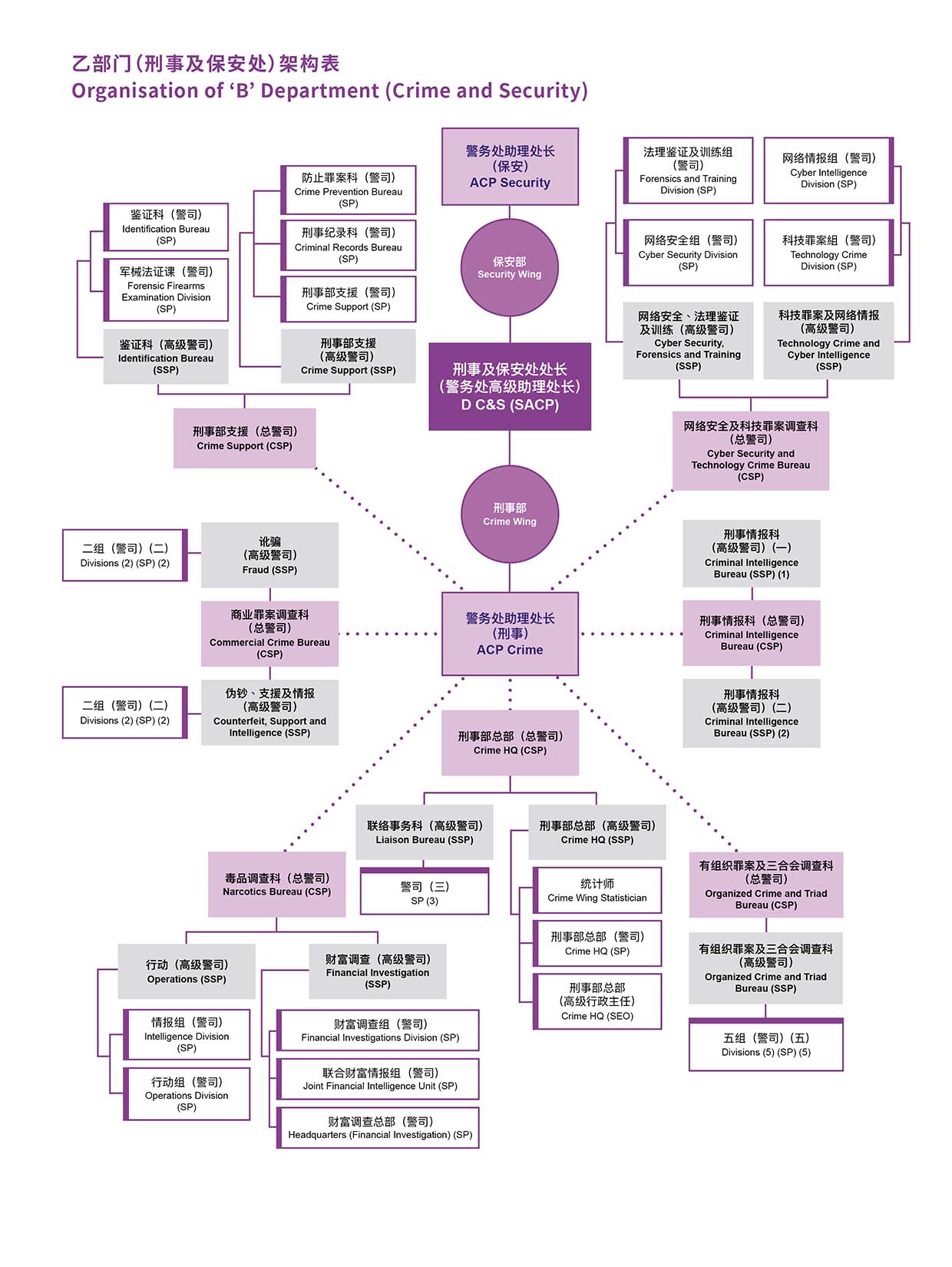 乙部门（刑事及保安处）架构表 